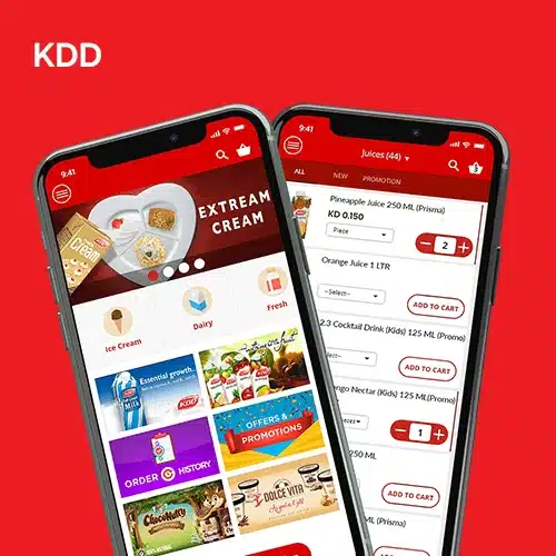 KDD project thumbnail