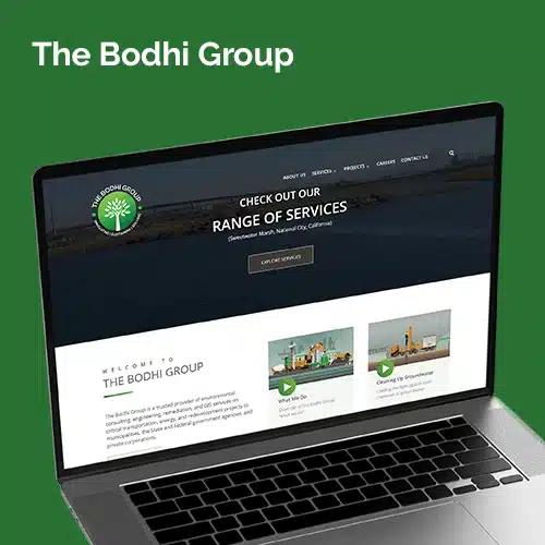 The Bodhi Group project thumbnail